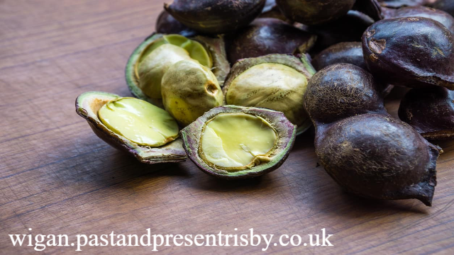 7 Manfaat Jengkol untuk Kesehatan Tubuh